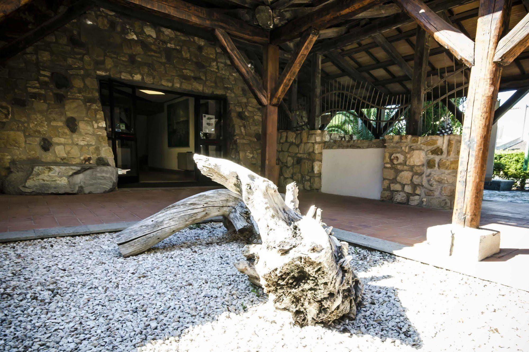 Hotel Torre Del Sole Tarquinia Exterior foto
